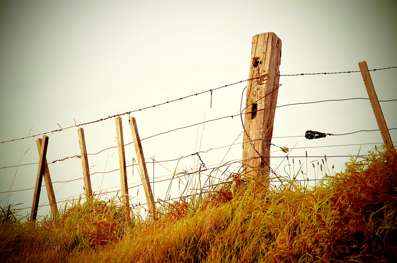 farm fence